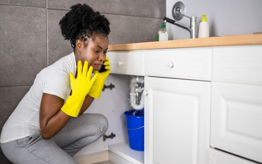 How to Avoid Costly Plumbing Emergencies: Tips from Utah’s Experts